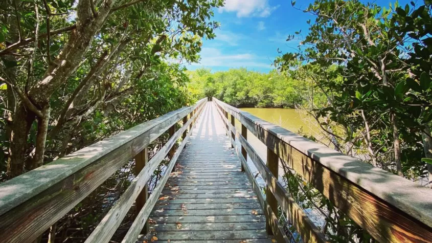 Bowman's Beach Park