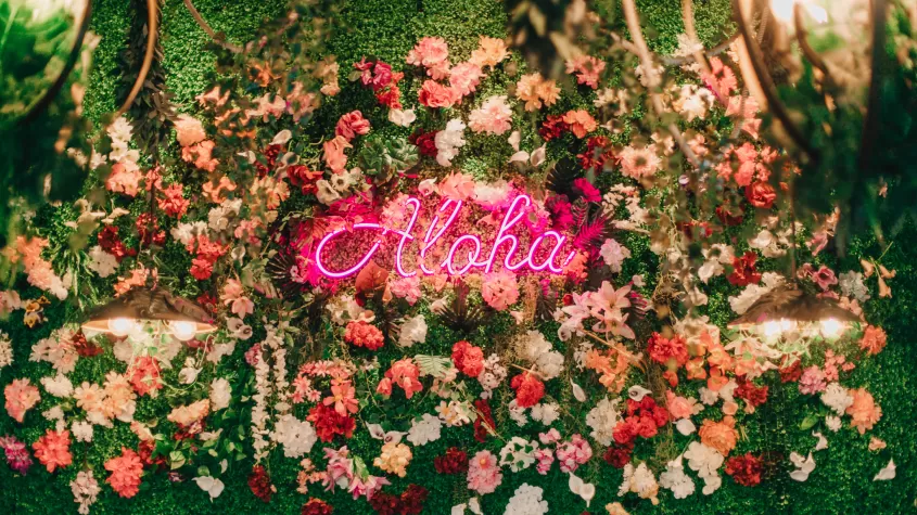 Amazing Craft Cocktails