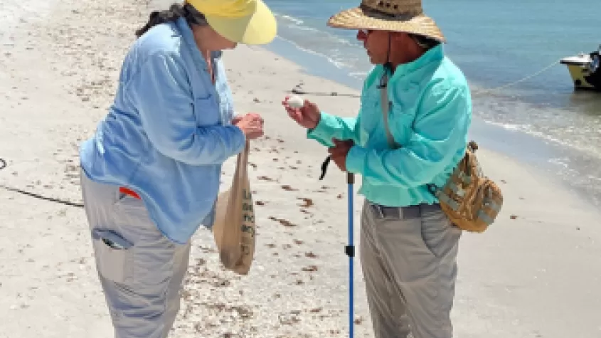 Captain Brian is your perfect guide for shell-collecting.