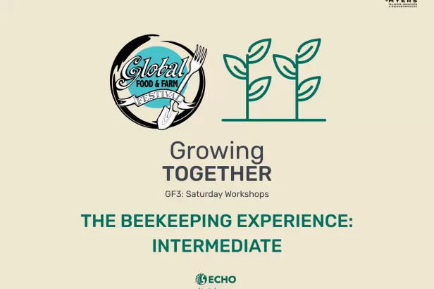 Beekeeping Intermediate
