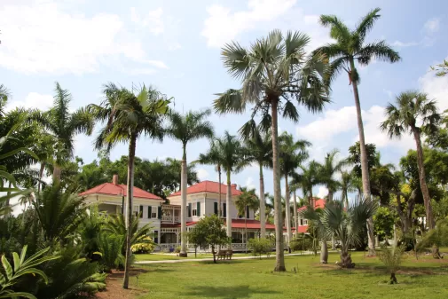 edison and ford winter estates surrounded by palm trees