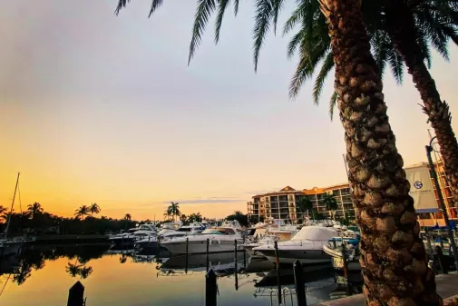 Sunset Marina Boating Boats Cape Harbour Palm Tree