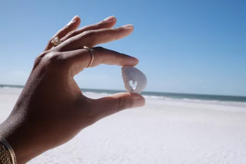 Hand holding a small white seashell with beach and sky in background.