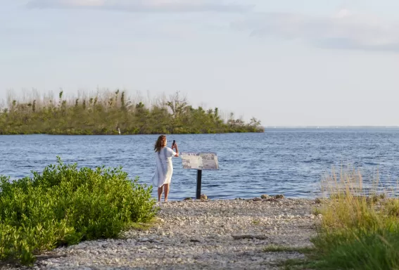 Woman taking photo at J.N. "Ding" Darling National Wildlife Refuge