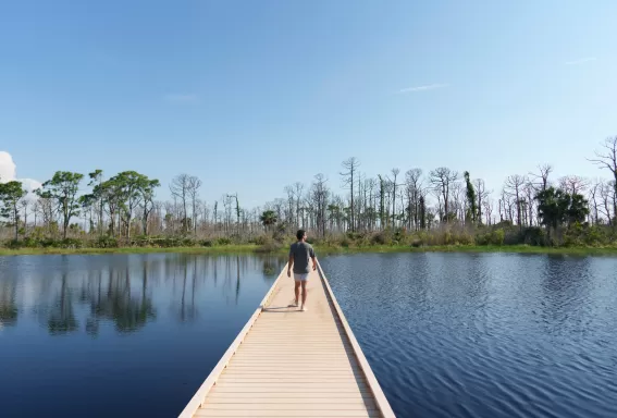 Explore nature in the Fort Myers area