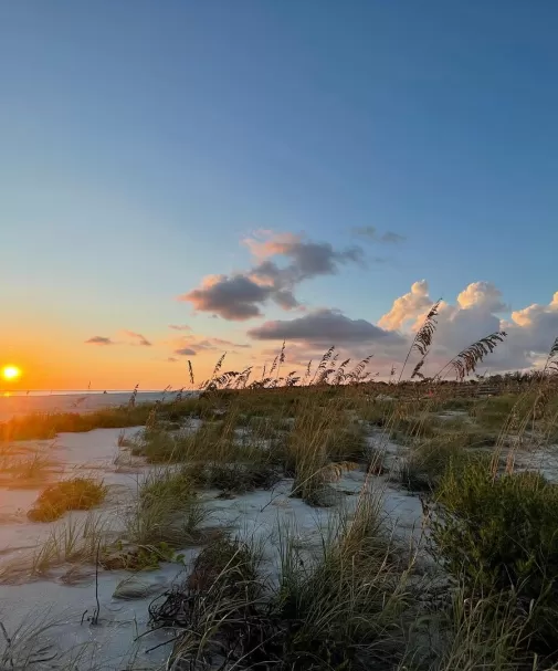 Beach Sea Oats Sunset